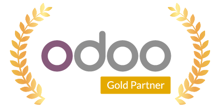 Odoo ERP Integration | Odoo Partner in France