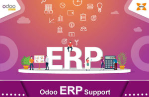 odoo-erp-support-services