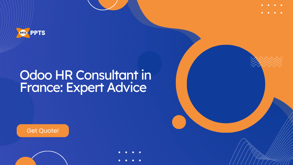 Odoo HR consultant providing expert advice to a France business