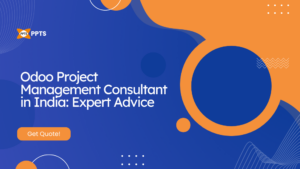 Odoo Project Management consultant providing expert advice to a India business